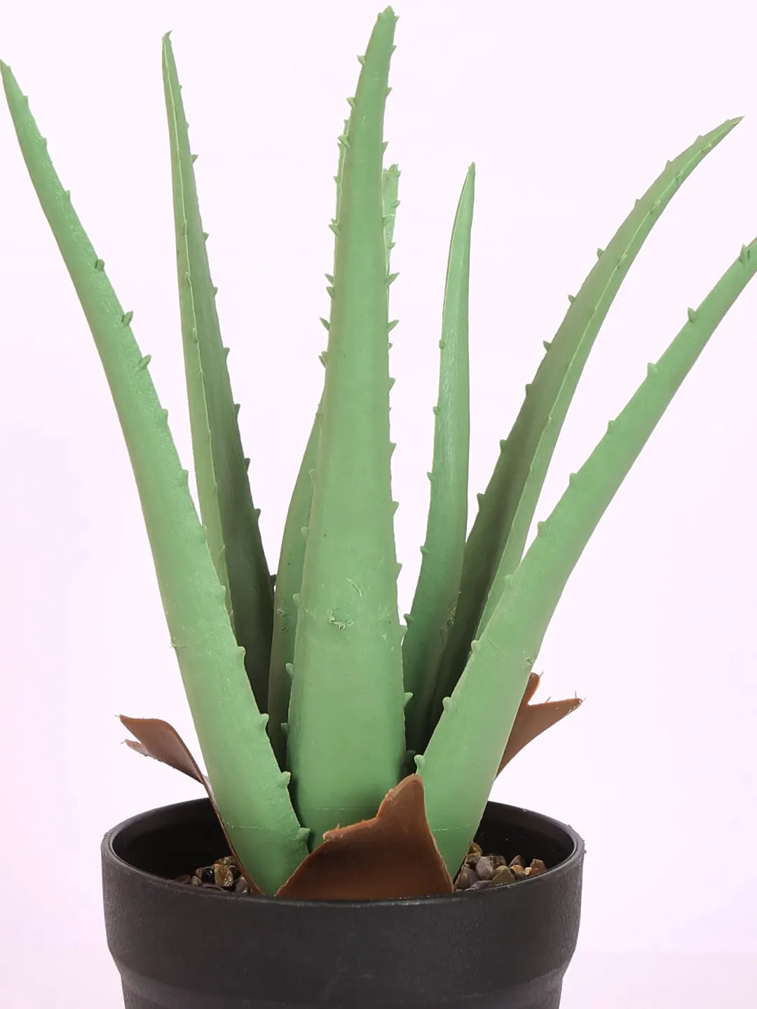 Artificial Aloe Vera Plant with Black Plastic Pot (25 cm Tall, Green)