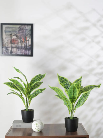 Artificial Green Snake Plant (12 Leaves with Basic Black Pot 45 Cm Tall Pack of 2)
