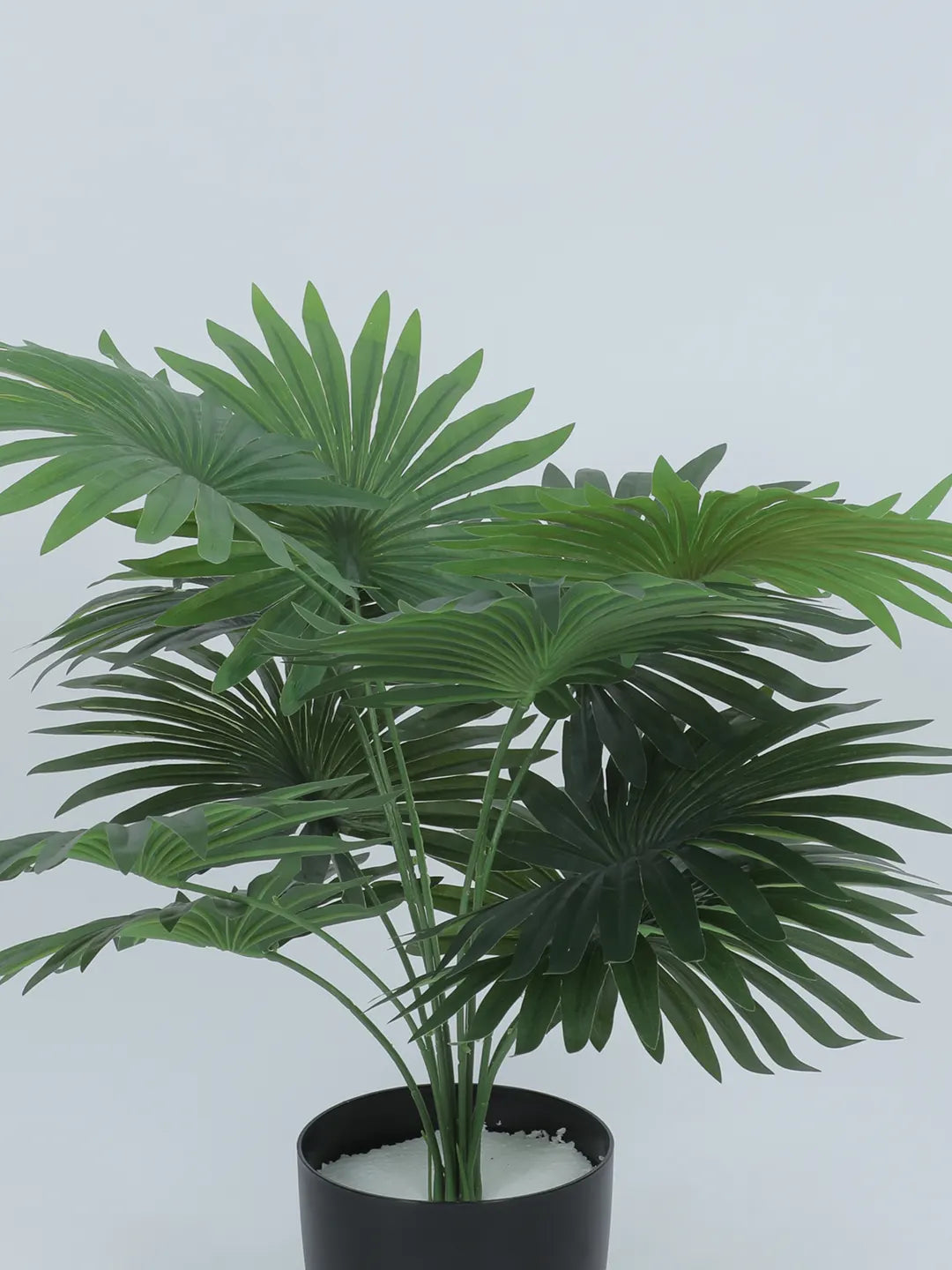 Artificial Fan Palm Leaf Plants for with Pot (12 Leaves, 55 cm Tall, Green)