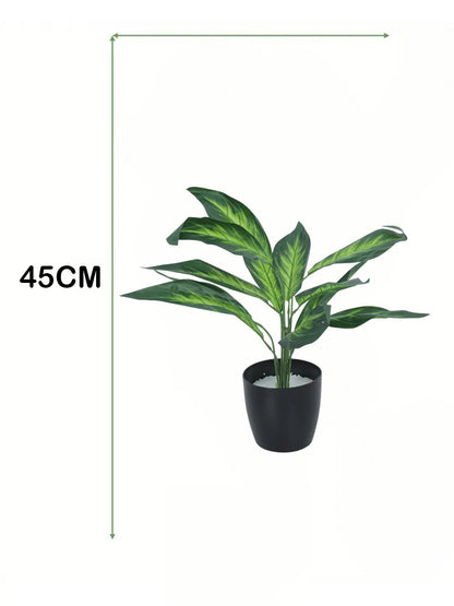 Artificial Green Dieffenbachia Plant (12 Leaves with Basic Black Pot 45 Cm Tall)