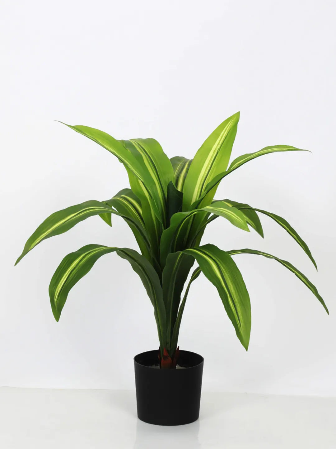 Artificial Variegated Dracaena Plant - 2.4 Feet - With Pot