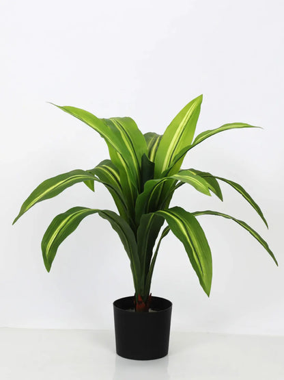 Artificial Variegated Dracaena Plant - 2.4 Feet - With Pot