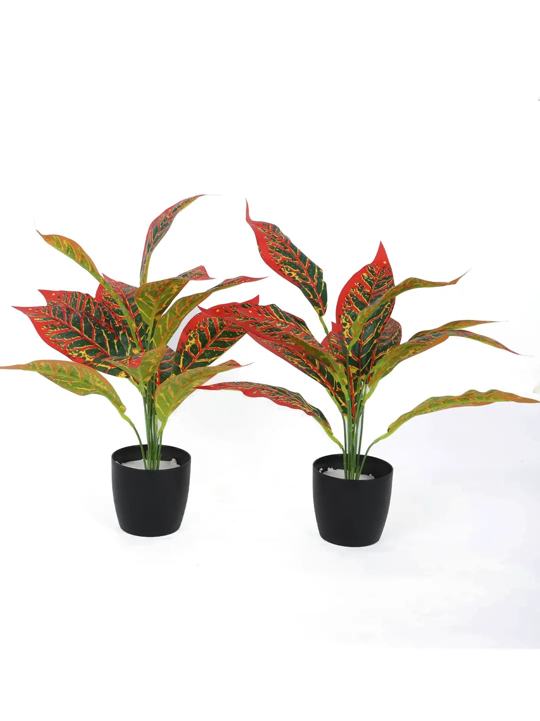 Artificial Red Iceton Croton Plant (12 Leaves with Basic Black Pot 45 Cm Tall Pack of 2)
