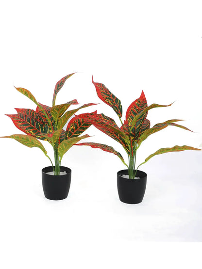 Artificial Red Iceton Croton Plant (12 Leaves with Basic Black Pot 45 Cm Tall Pack of 2)