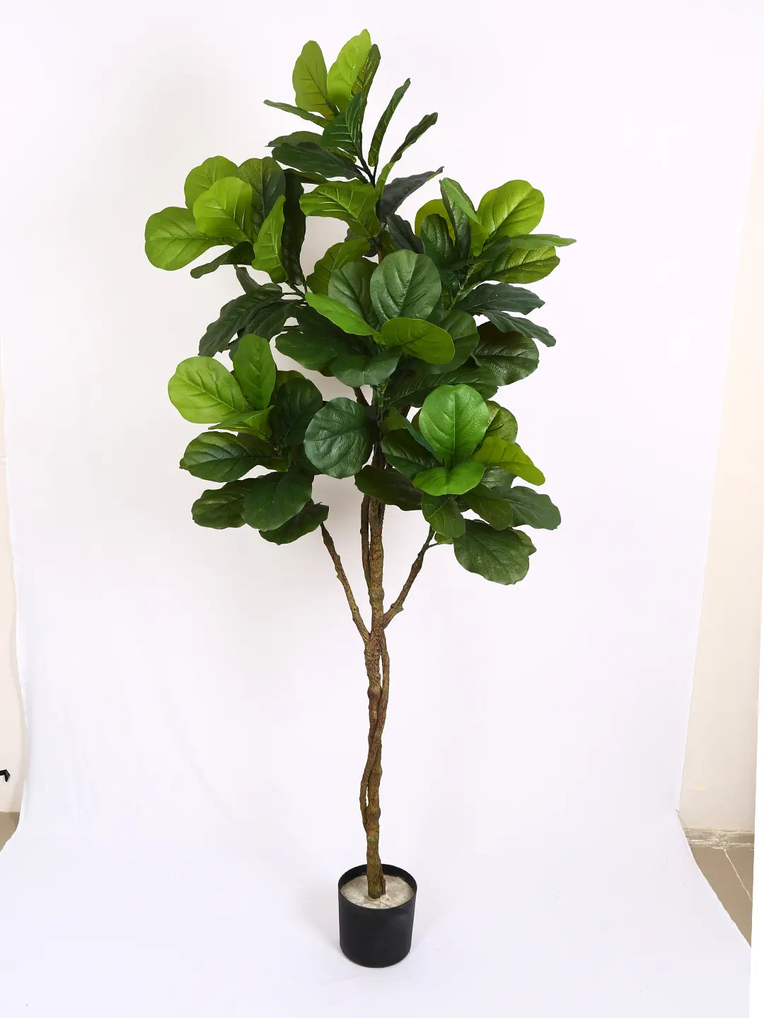 Artificial Fiddle Leaf Fig Plant with Basic Black Pot - 170 cm tall -Green