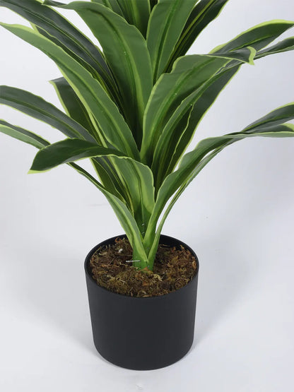 Artificial Variegated Dracaena Plant - 3 Feet - With Pot