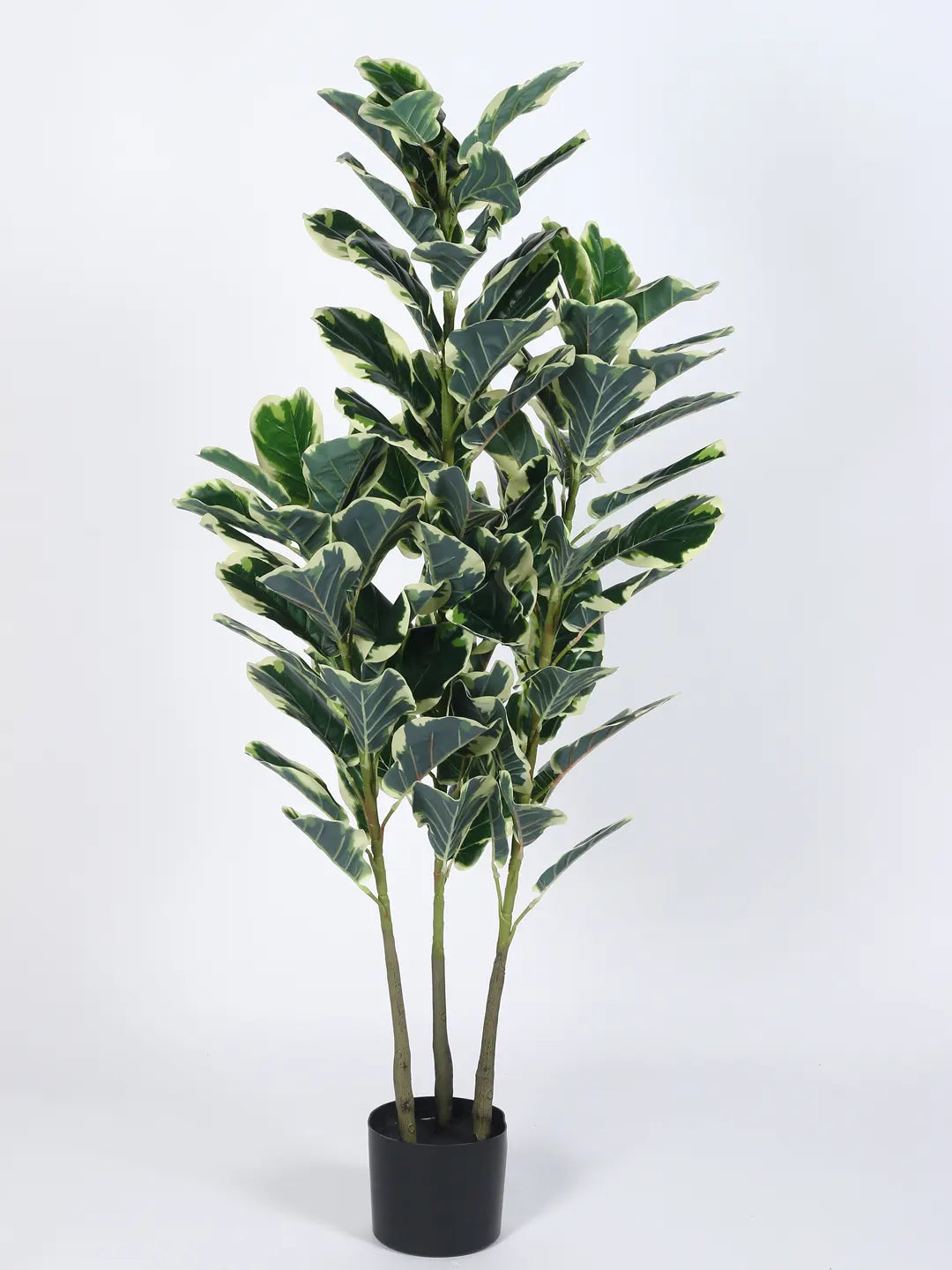 Artificial Variegated Fiddle Leaf Fig Plant with Basic Black Pot - 5 Feet tall