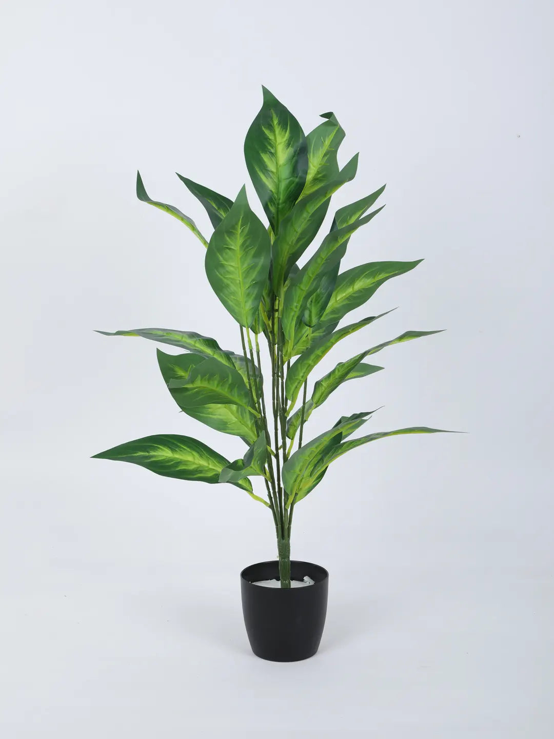 Artificial Green Dieffenbachia Plants for Interior Decor/Home Decor/Office Decor|26 Leaves (with Pot, 70 cm Tall)