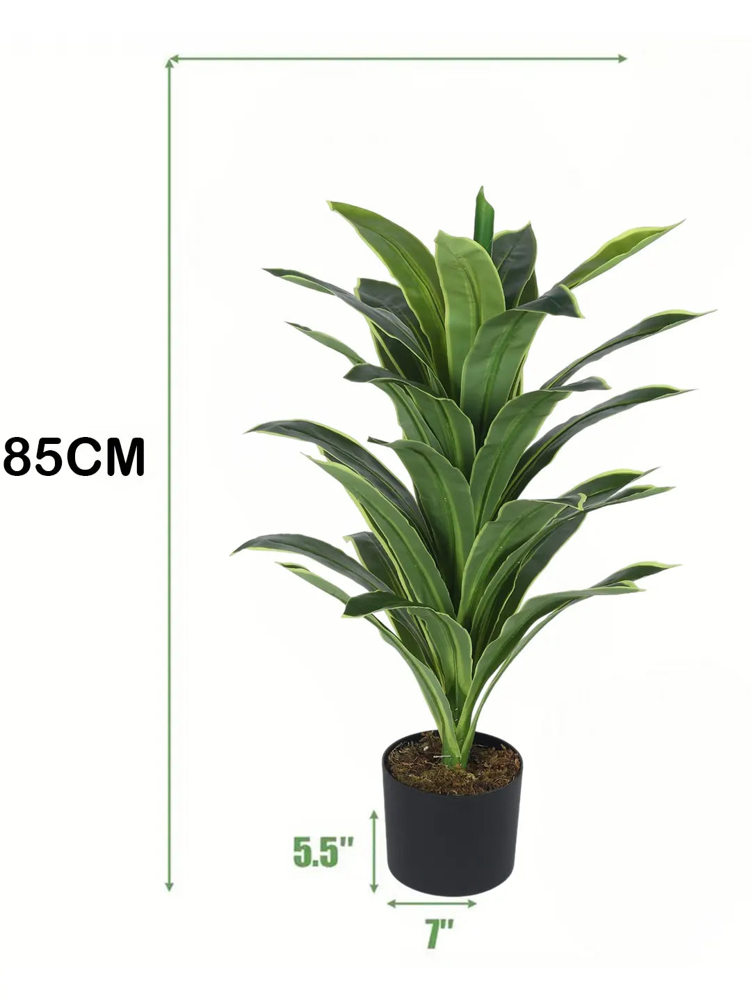 Artificial Variegated Dracaena Plant - 3 Feet - With Pot