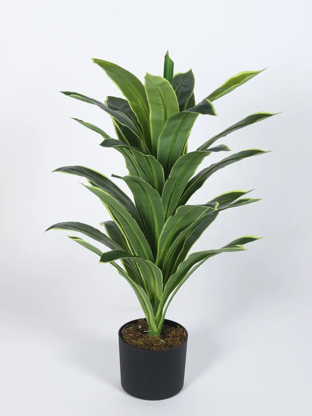 Artificial Variegated Dracaena Plant - 3 Feet - With Pot