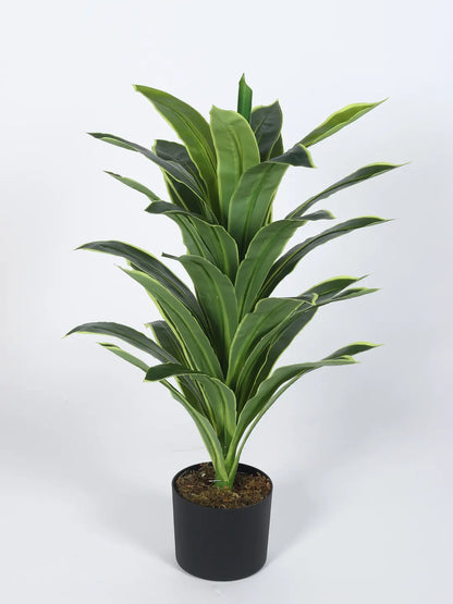 Artificial Variegated Dracaena Plant - 3 Feet - With Pot