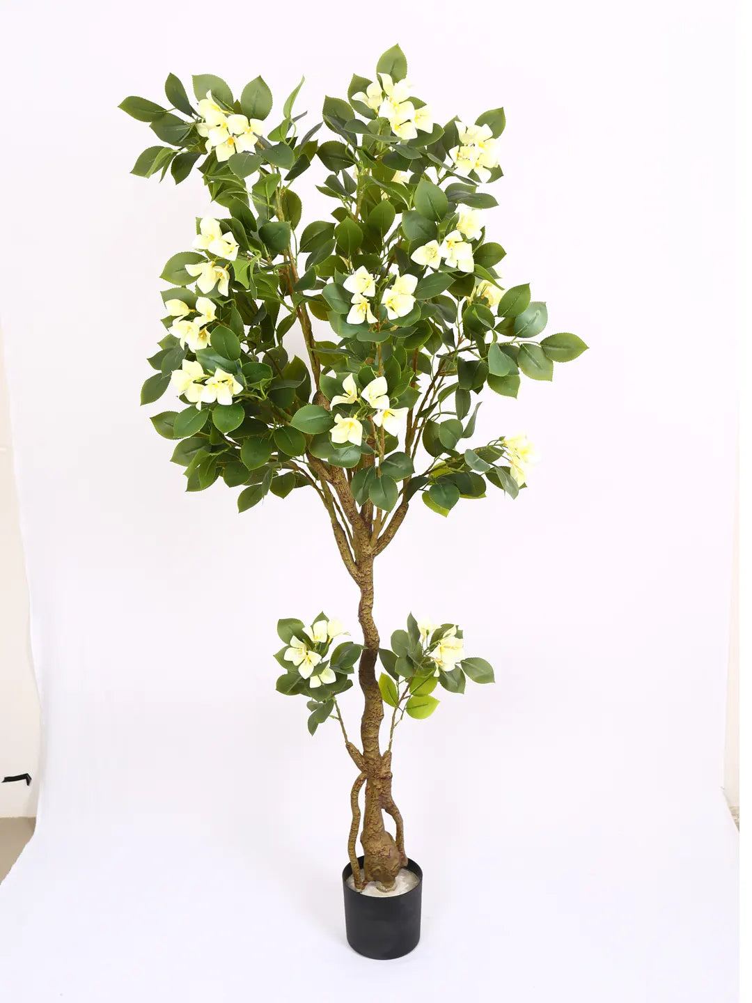 Artificial Bougainvillea Flowers Plants with Pot -180 cm Tall, Green/White