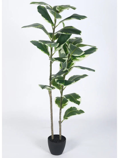 Artificial Variegated Rubber Plant with Basic Black Pot - 4 Feet