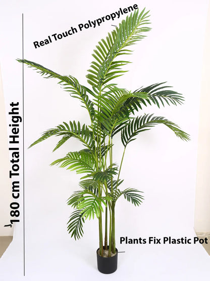 Artificial Lush Green Areca Palm Plants with Basic Black Pot - 180 cm Tall