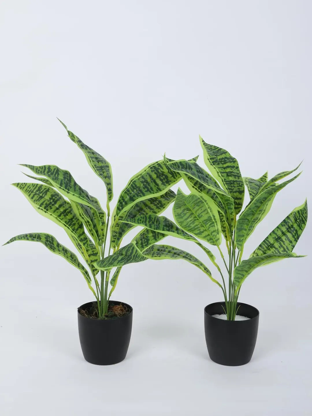 Artificial Green Snake Plant (12 Leaves with Basic Black Pot 45 Cm Tall Pack of 2)