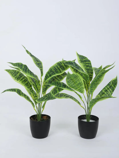 Artificial Green Snake Plant (12 Leaves with Basic Black Pot 45 Cm Tall Pack of 2)