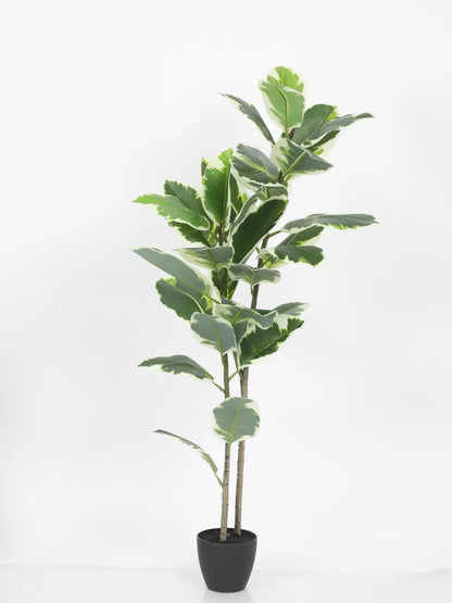 Artificial Variegated Rubber Plant with Basic Black Pot - 4 Feet