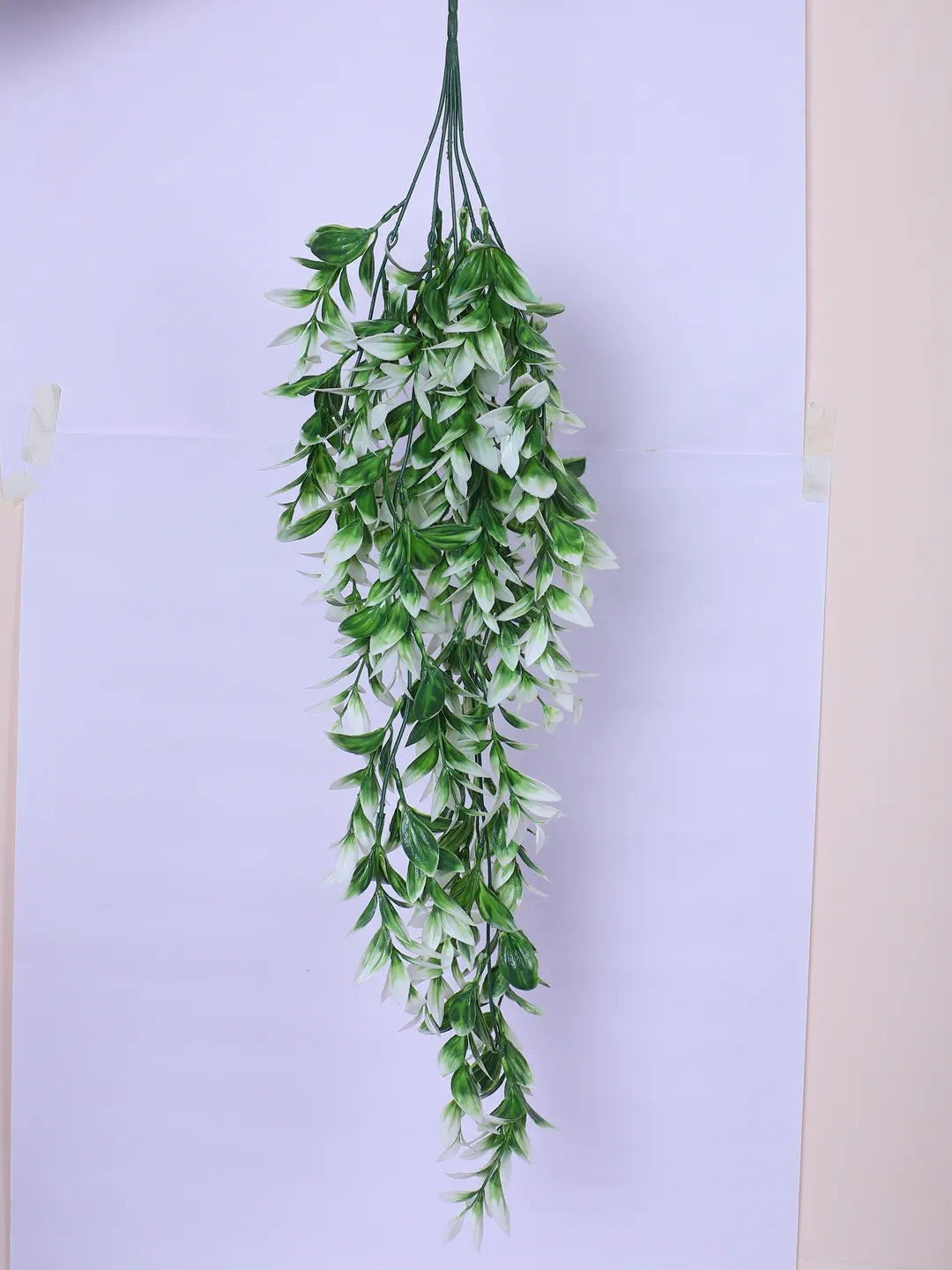 Artificial Hanging Eucalyptus Green Creeper for Home, Wedding Décor (Pack of 2, 75 cm Tall, Green/White)