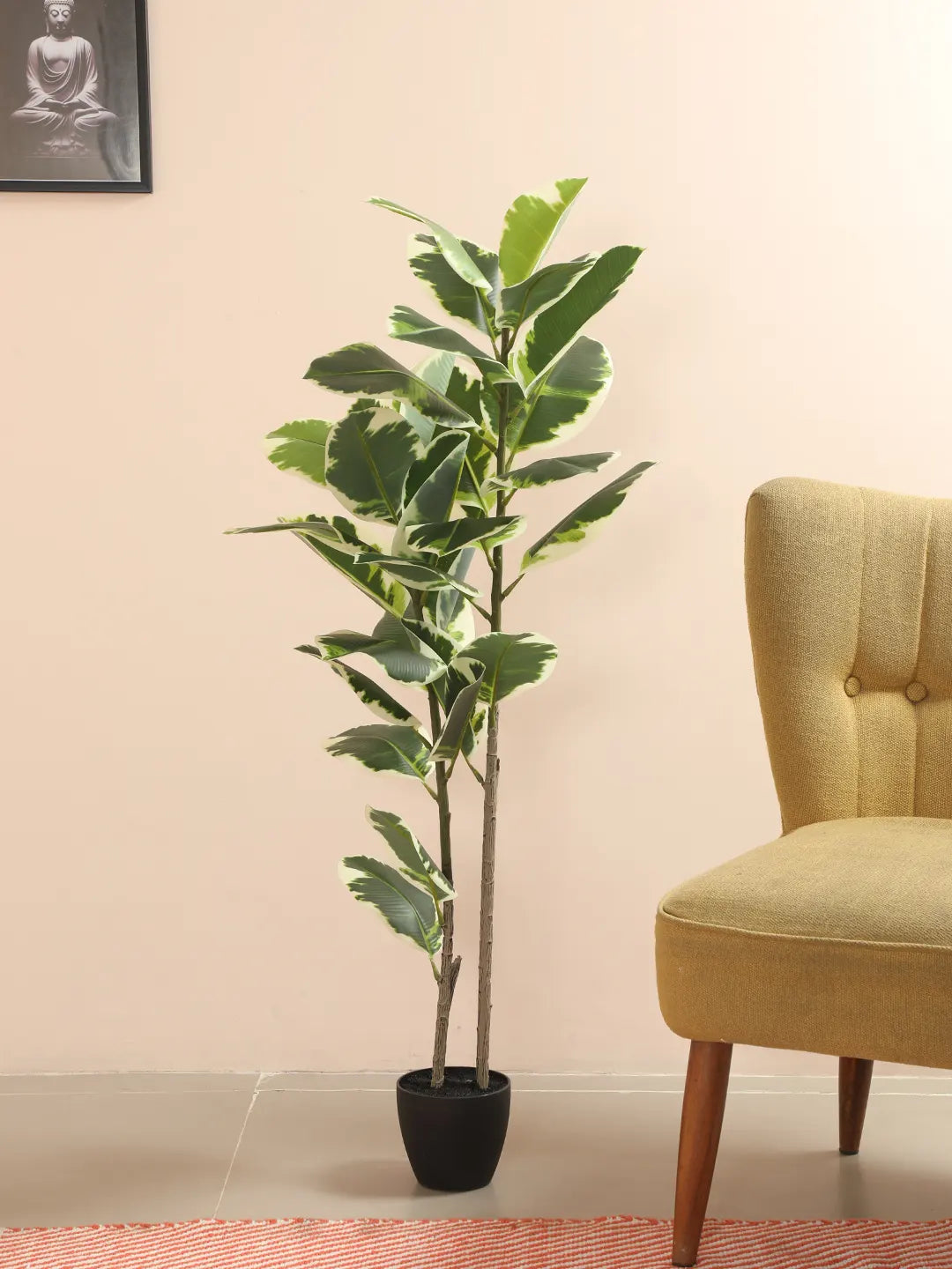 Artificial Variegated Rubber Plant with Basic Black Pot - 4 Feet