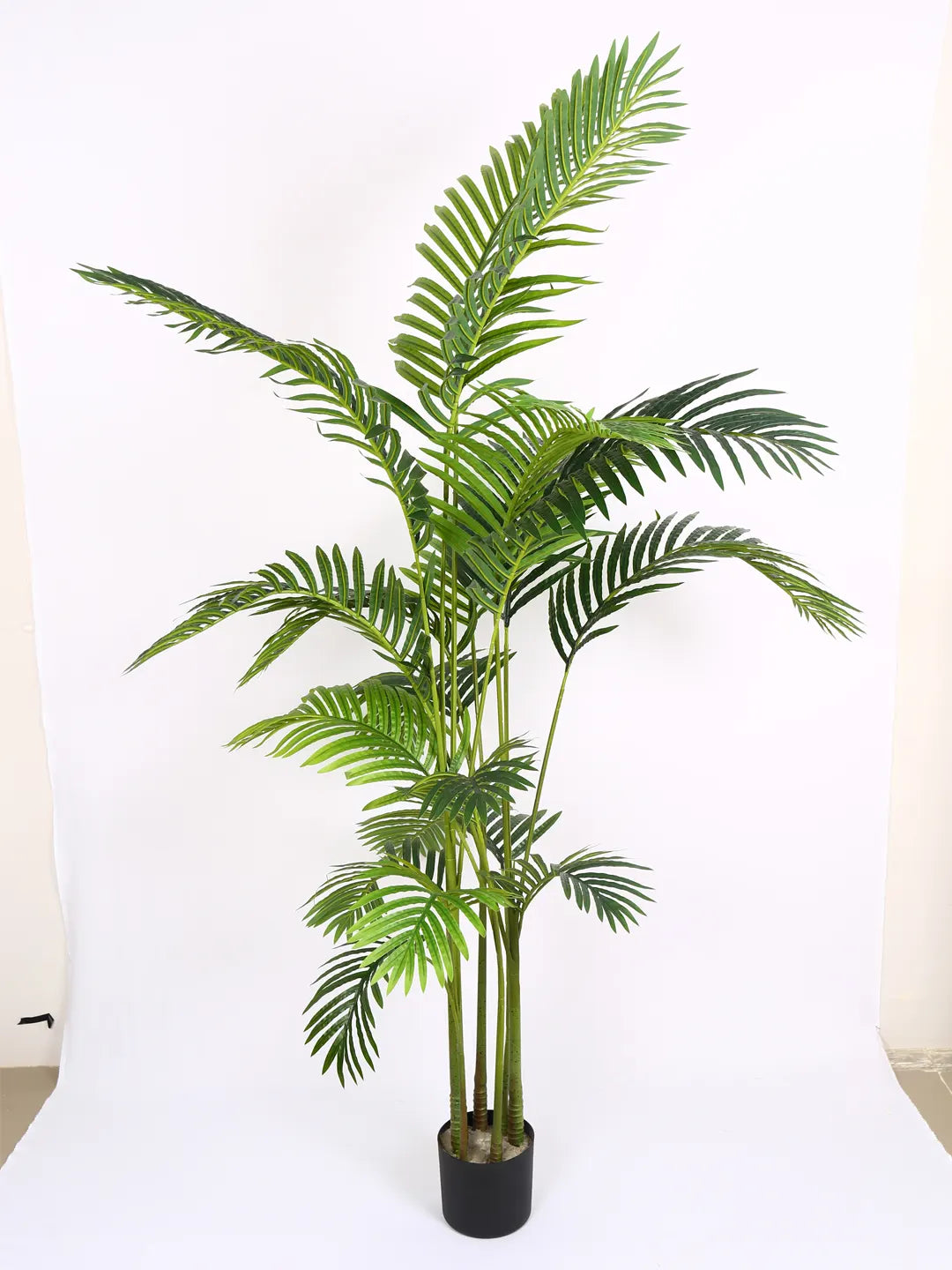Artificial Lush Green Areca Palm Plants with Basic Black Pot - 180 cm Tall