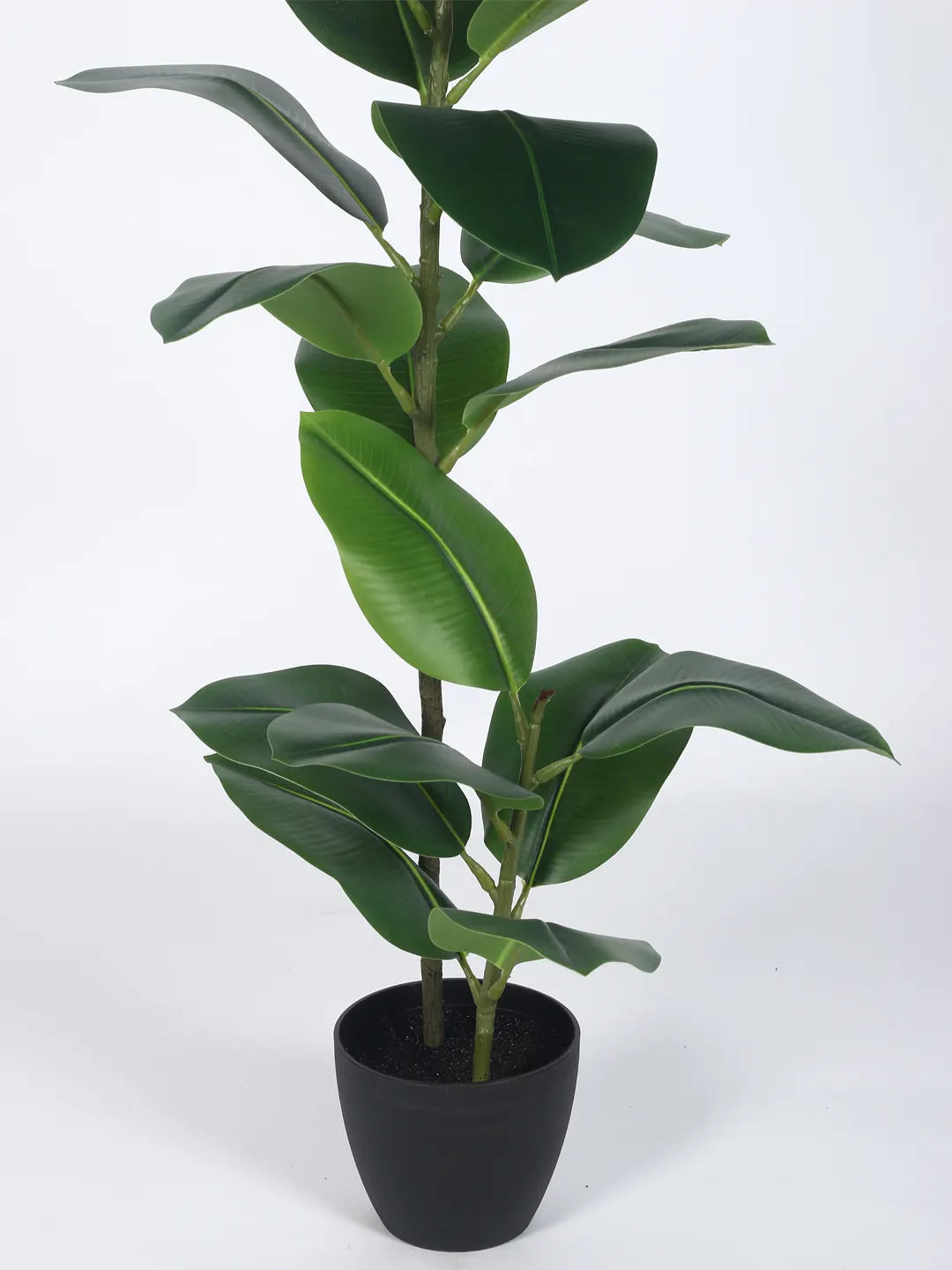 Artificial Rubber Plant for with Basic Black Pot (95 cm Tall Green)