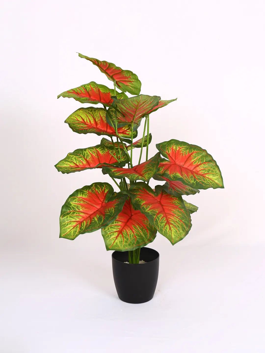 Artificial Caladium Leaf Plants for with Pot (18 Leaves, 65 cm Tall. Green/Red)