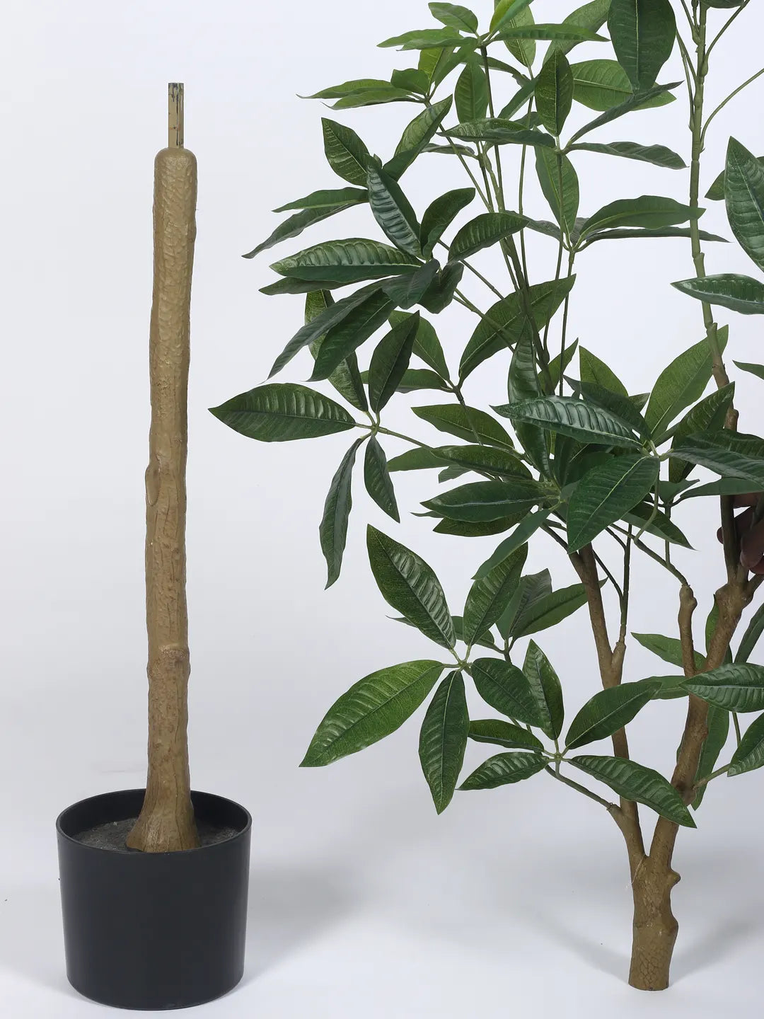 Artificial Midas Guiana Chestnut Plant with Basic Black Pot - 5.5 Feet Tall Green Leaves