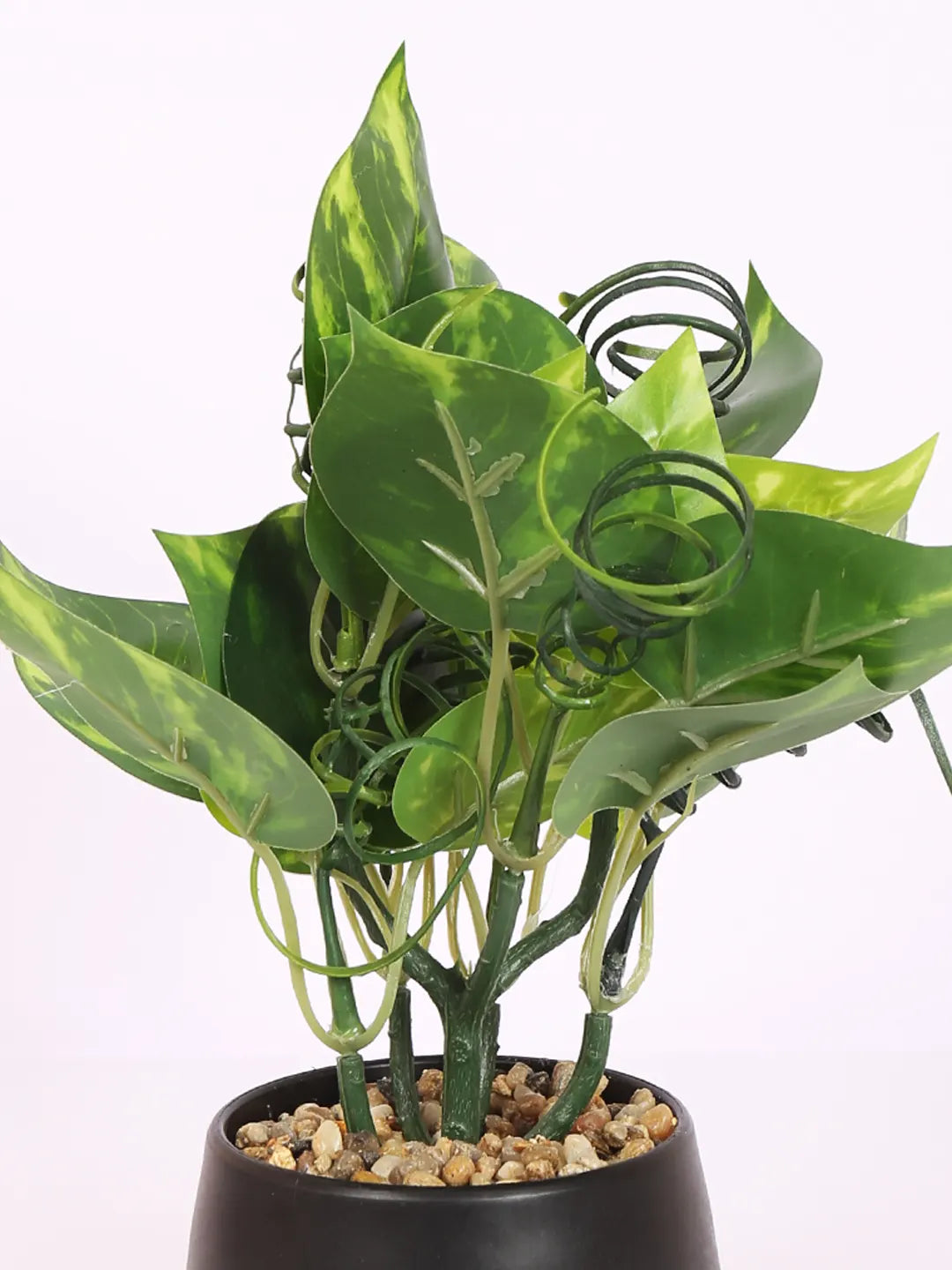 Artificial Beautiful Money Plants With Pot for (22 cm Tall, Green)