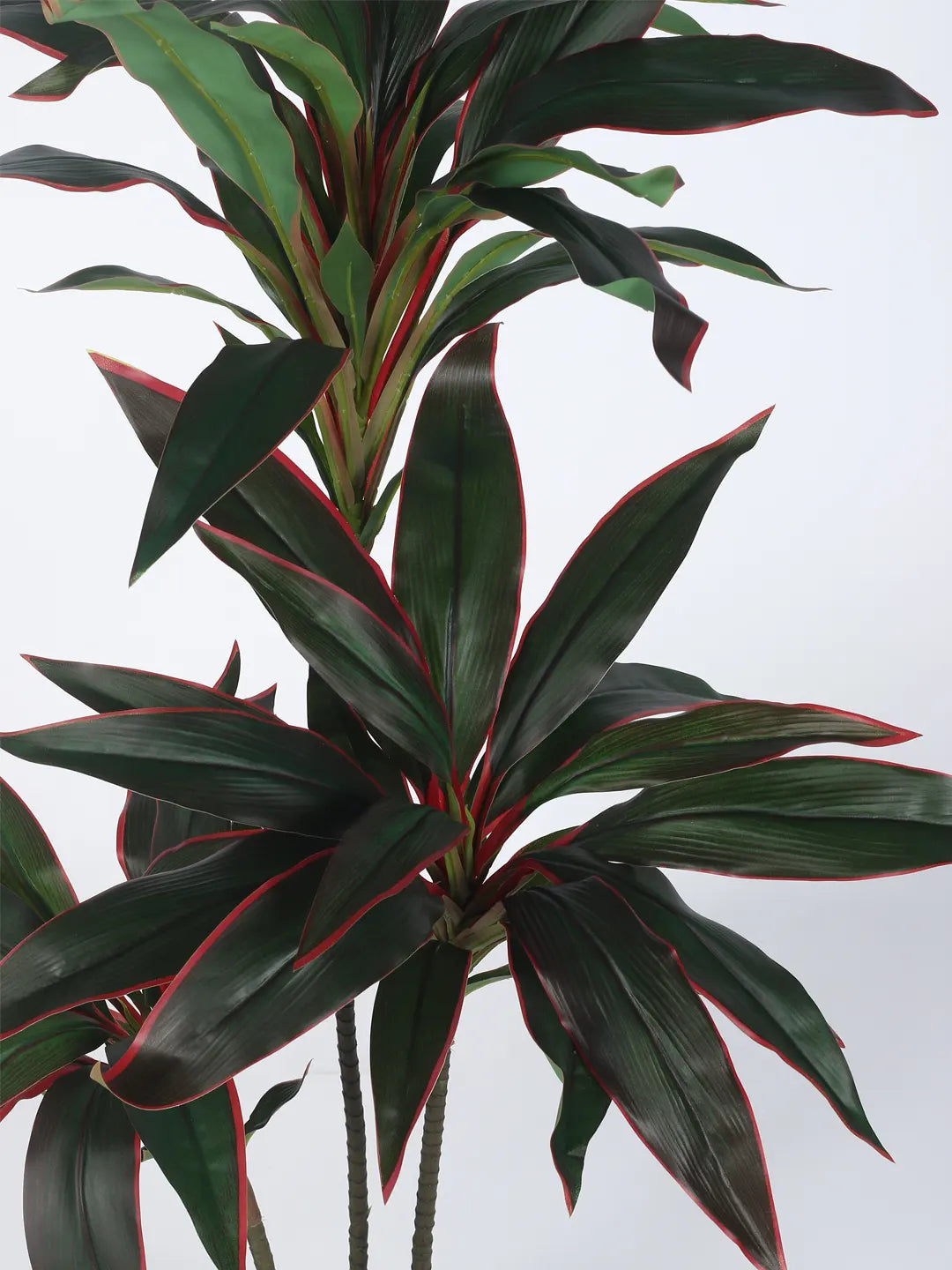 Artificial Dracaena Plant with Basic Black Pot – 85 cm Tall, Green/Red