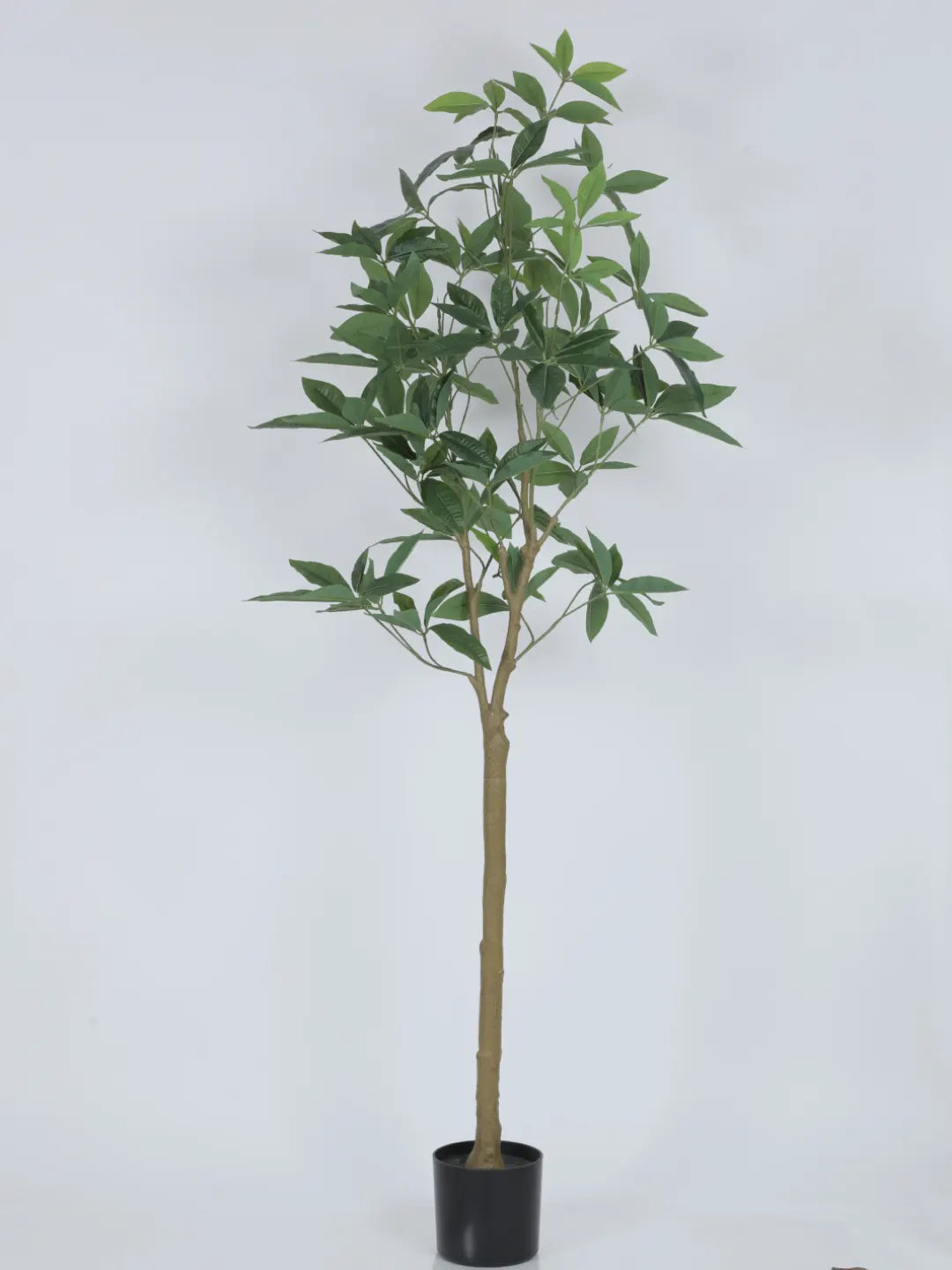 Artificial Midas Guiana Chestnut Plant with Basic Black Pot - 5.5 Feet Tall Green Leaves