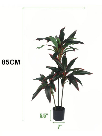 Artificial Dracaena Plant with Basic Black Pot – 85 cm Tall, Green/Red