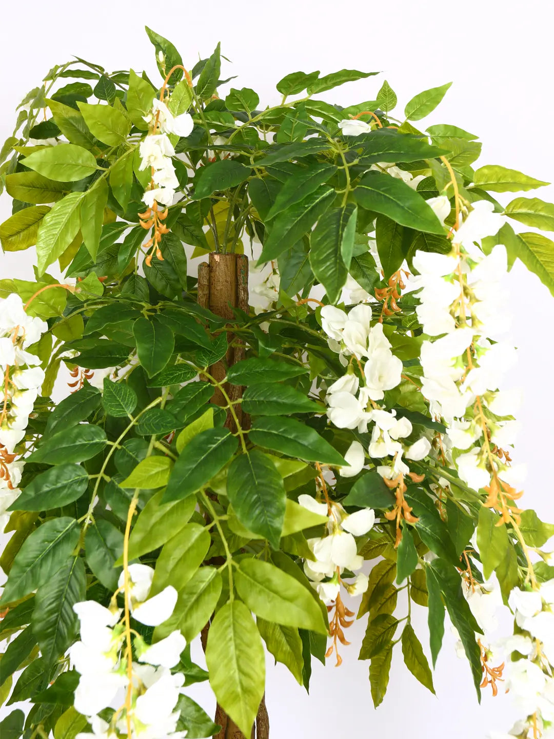 Artificial Wisteria Blush White Plant with Basic Black Pot - 6 Feet Tall