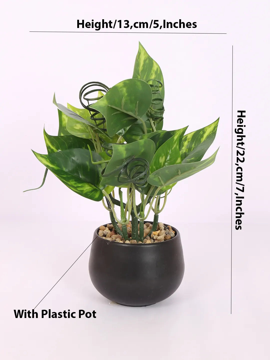 Artificial Beautiful Money Plants With Pot for (22 cm Tall, Green)