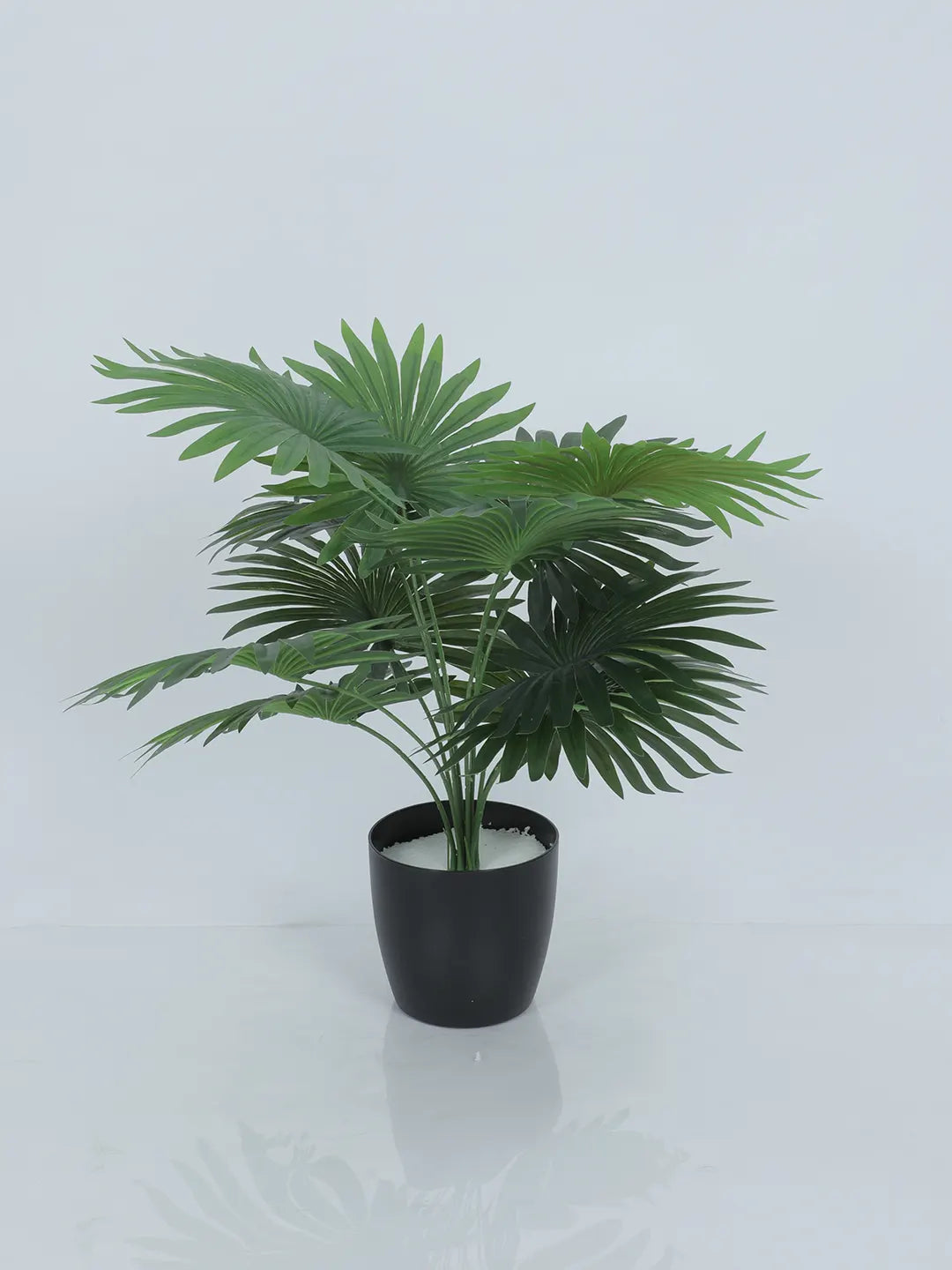 Artificial Fan Palm Leaf Plants for with Pot (12 Leaves, 55 cm Tall, Green)