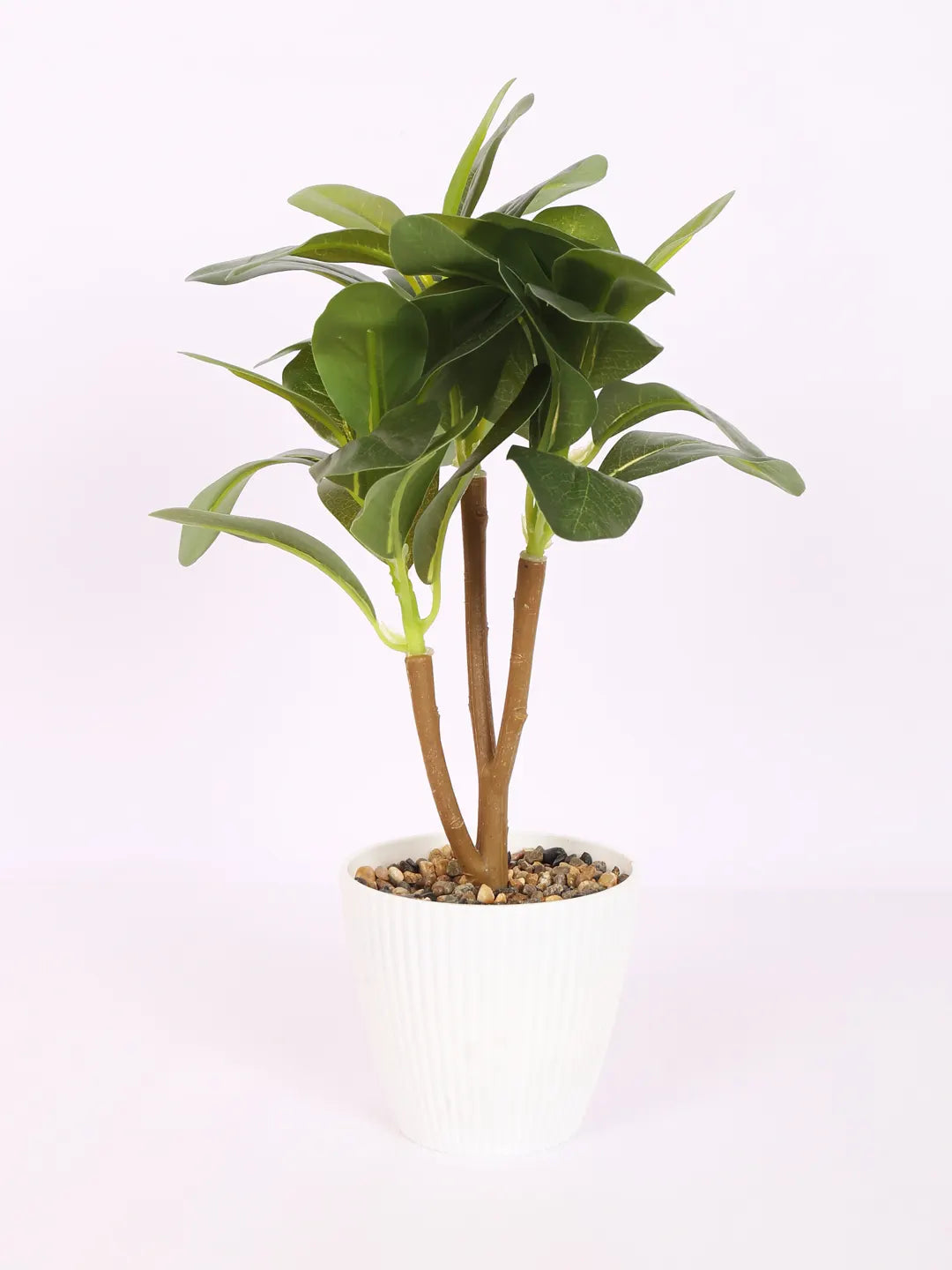 Artificial Ficus Bonsai Plant with Pot (30 cm Tall, Green)