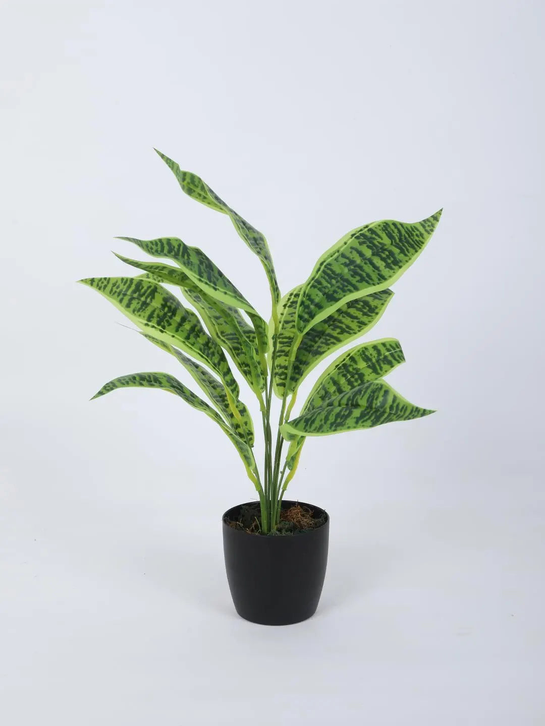 Artificial Green Snake Plant (12 Leaves with Basic Black Pot 45 Cm Tall Pack of 2)