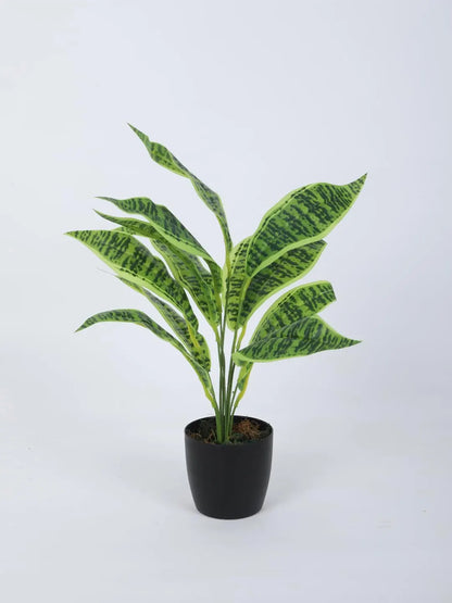 Artificial Green Snake Plant (12 Leaves with Basic Black Pot 45 Cm Tall Pack of 2)