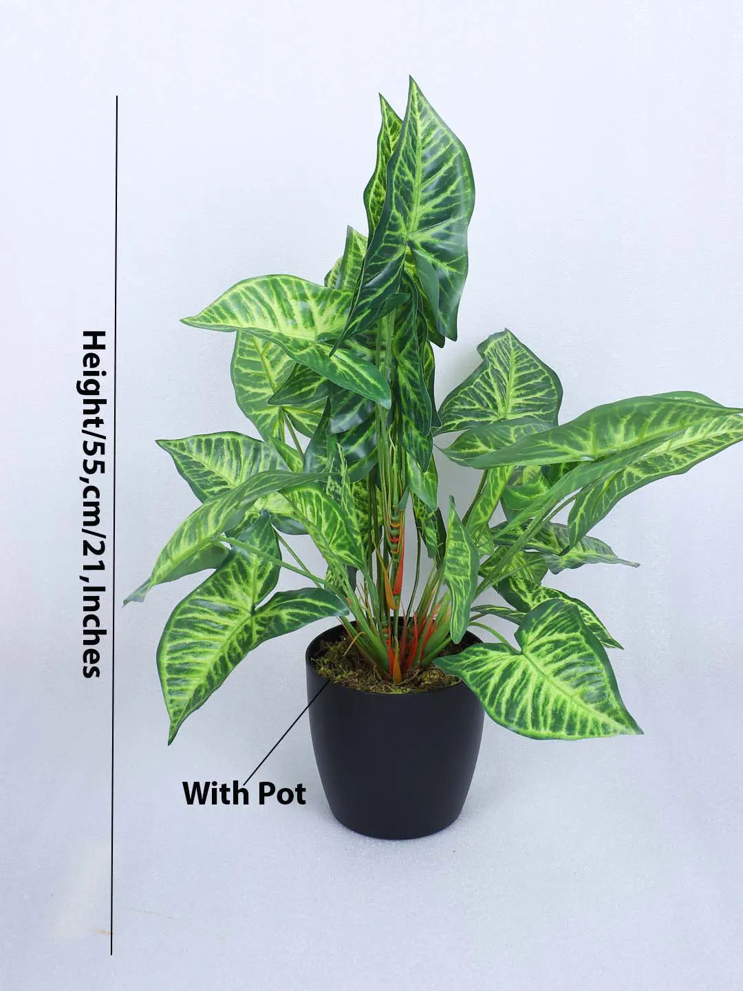 Artificial Miniature PVC Silk Caladium Leaf Green Floor Plant with Big Leaves with Pot (55 cm Tall, Green)