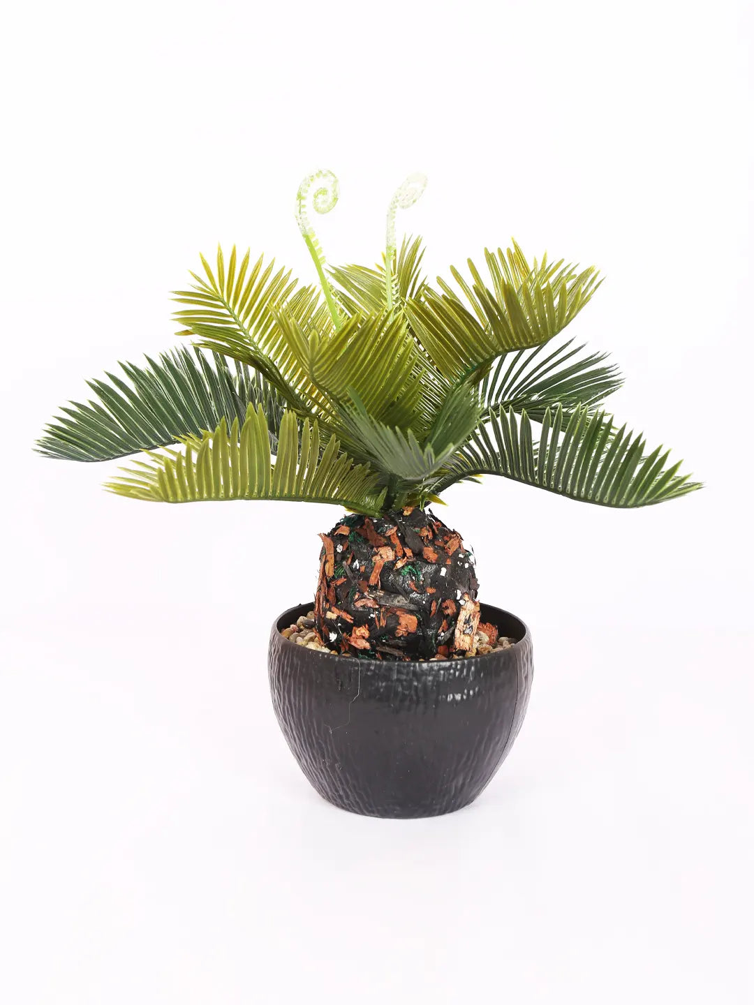 Artificial Cycas Plant - in  Plastic Pot (28 cm Tall, Green)
