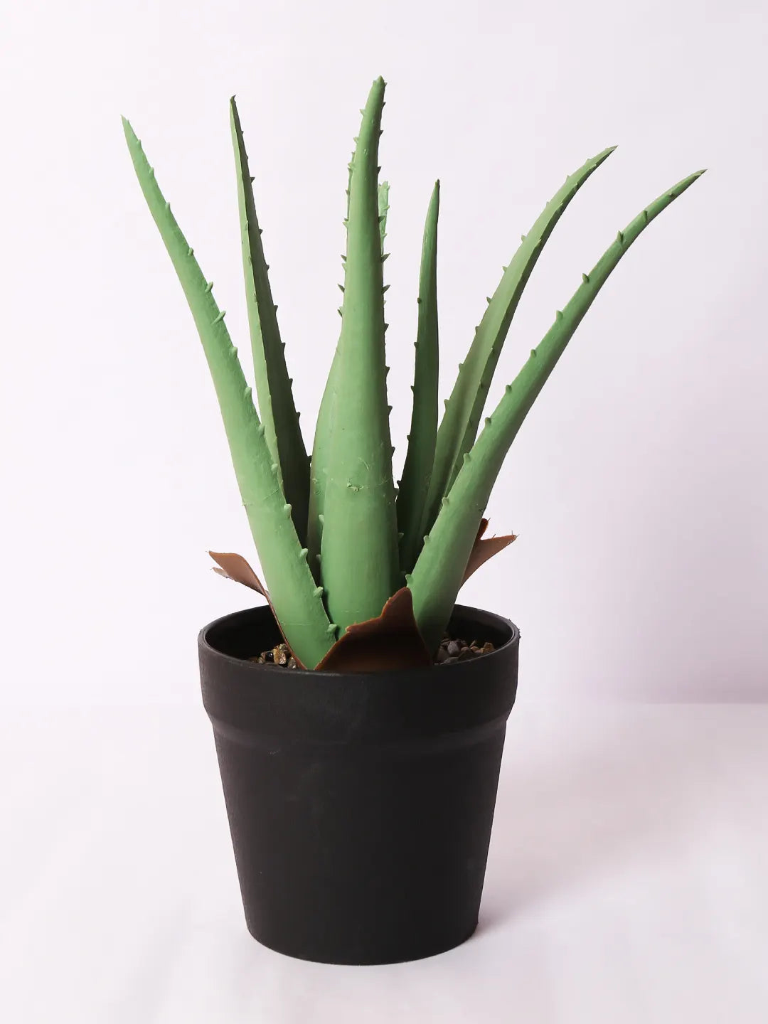 Artificial Aloe Vera Plant with Black Plastic Pot (25 cm Tall, Green)