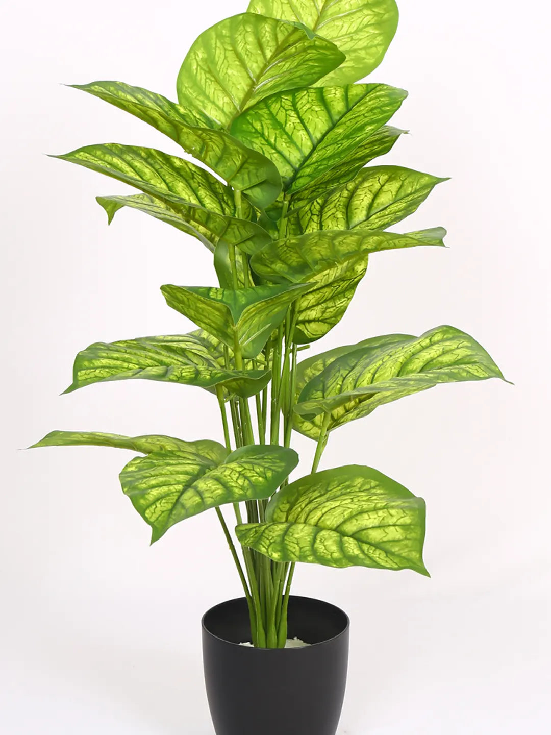 Artificial  Dieffenbachia Leaf Plants for with Pot (18 Leaves, 65 cm Tall, Green/Yellow)