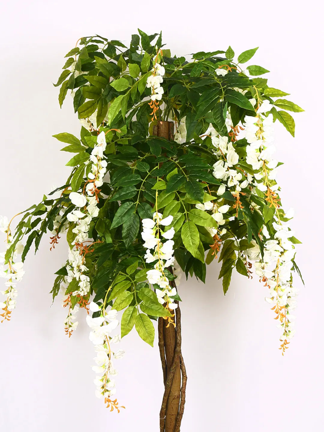 Artificial Wisteria Blush White Plant with Basic Black Pot - 6 Feet Tall