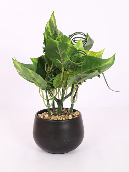 Artificial Beautiful Money Plants With Pot for (22 cm Tall, Green)