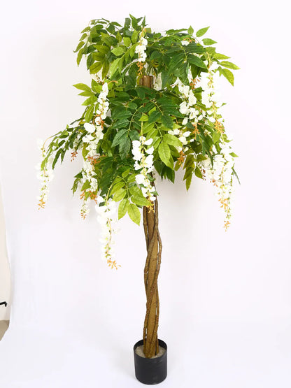 Artificial Wisteria Blush White Plant with Basic Black Pot - 6 Feet Tall