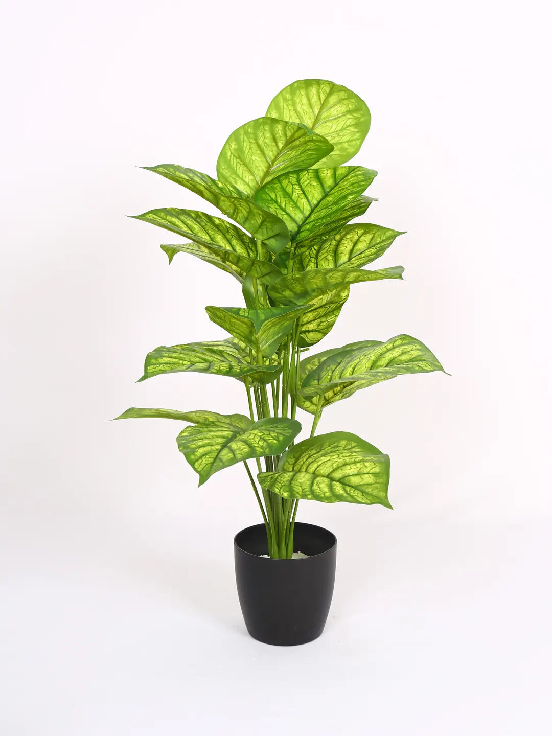 Artificial  Dieffenbachia Leaf Plants for with Pot (18 Leaves, 65 cm Tall, Green/Yellow)