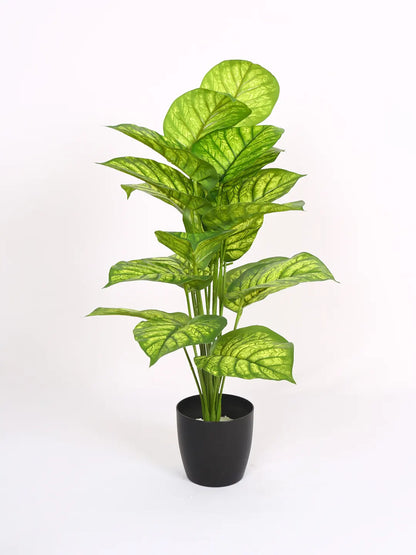 Artificial  Dieffenbachia Leaf Plants for with Pot (18 Leaves, 65 cm Tall, Green/Yellow)