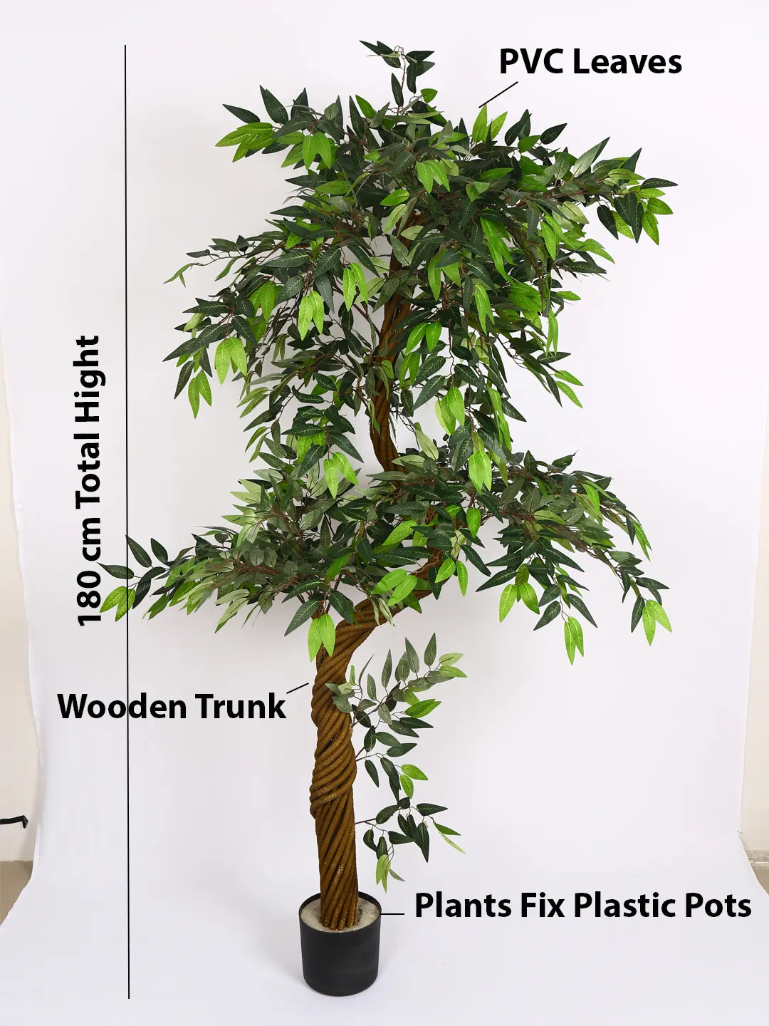 Artificial Midas Ruscus Lush Plant with Basic Black Pot - 6 Feet Tall