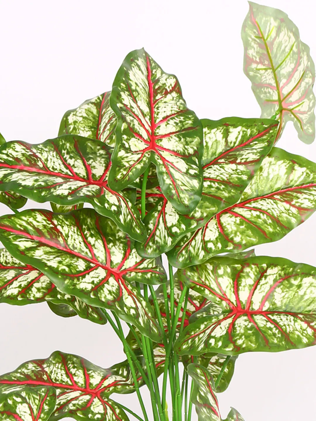 Artificial Caladium Leaf Plants for with Pot (18 Leaves, 65 cm Tall. Green/Red)