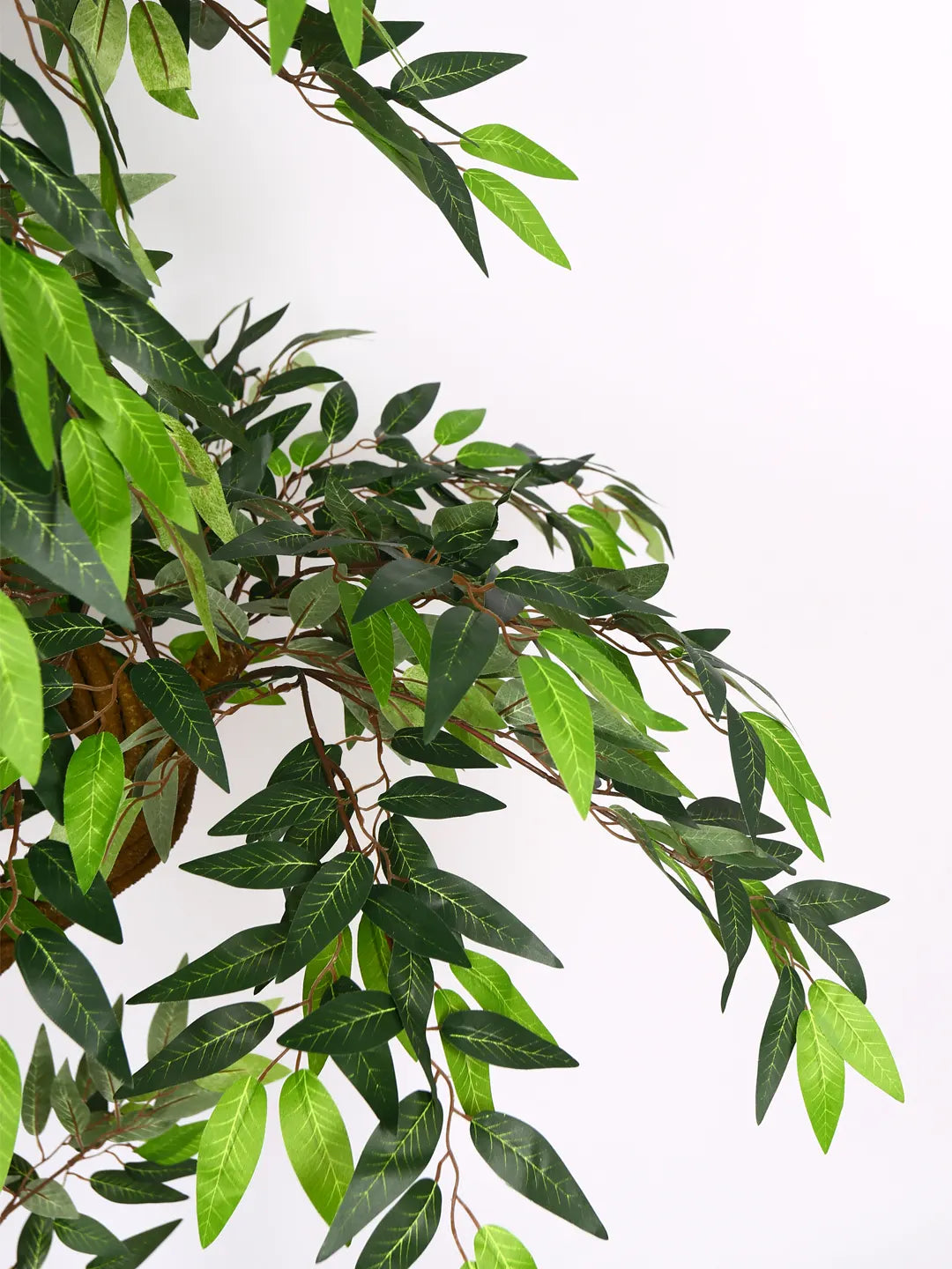 Artificial Midas Ruscus Lush Plant with Basic Black Pot - 6 Feet Tall