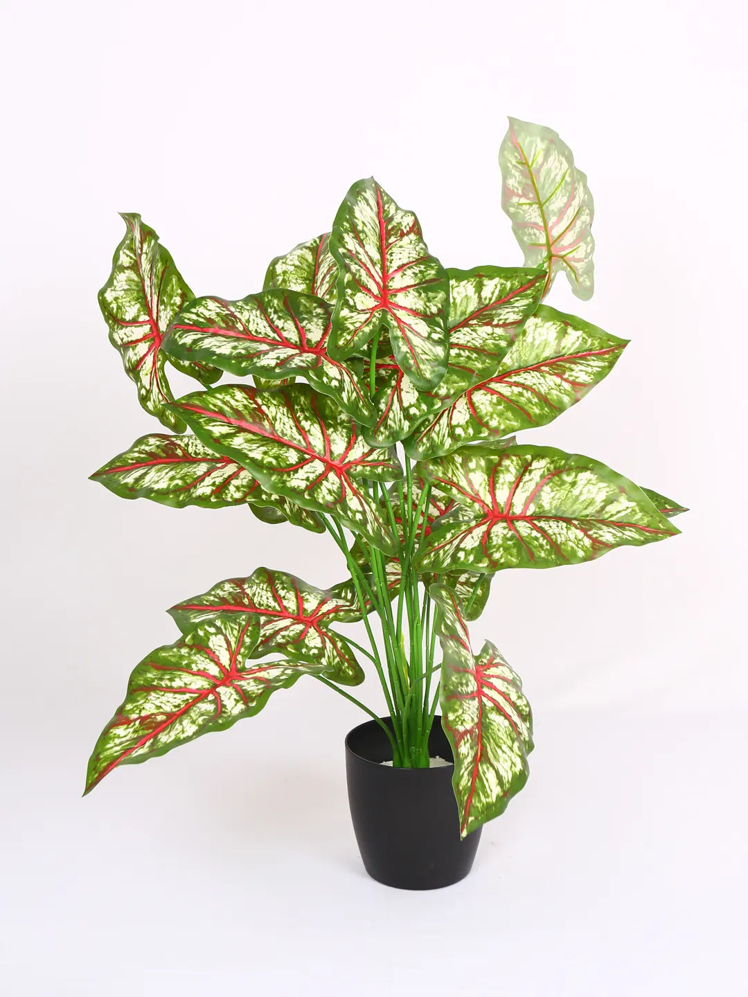 Artificial Caladium Leaf Plants for with Pot (18 Leaves, 65 cm Tall. Green/Red)